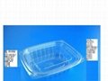 sushi&bread container, salad&fruit container,Custom Thermoforming