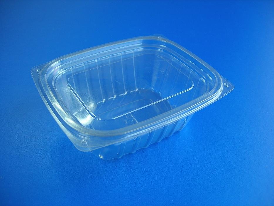 sushi&bread container, salad&fruit container,Custom Thermoforming 2