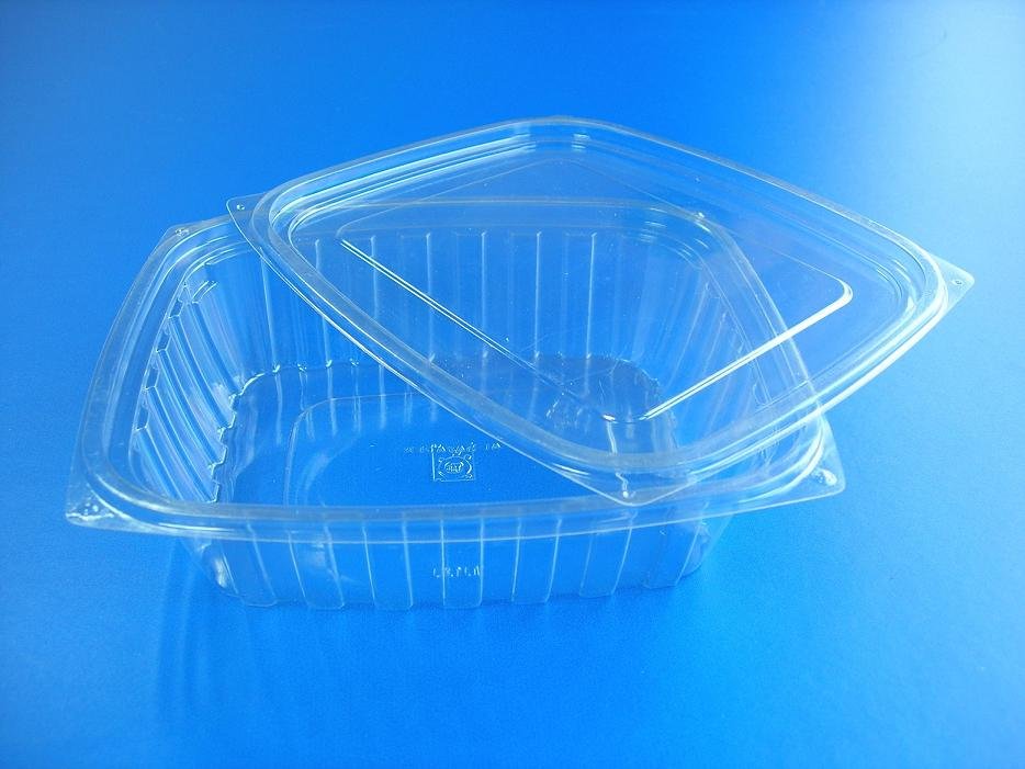 sushi&bread container, salad&fruit container,Custom Thermoforming 3