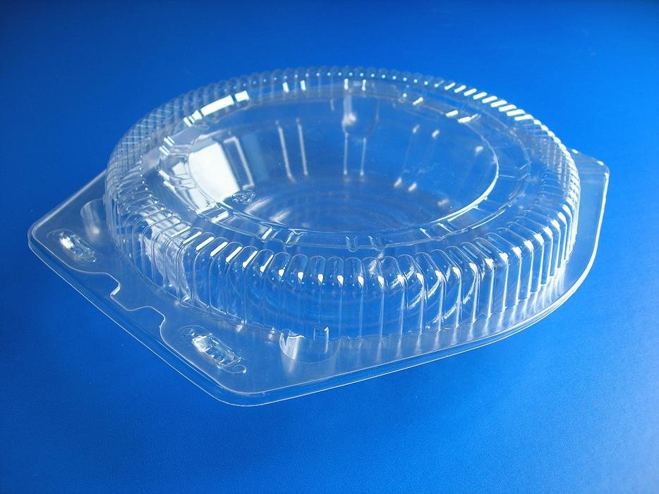 bread container, fruit container, salad container, food container 5