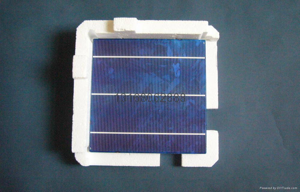 單晶多晶太陽能電池片 4