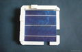 單晶多晶太陽能電池片 4