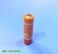 ER14505 ER14505M 3.6V Li-SoCl2 battery