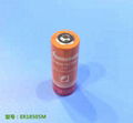 ER18505M 3.6V Li-SoCL2 Battery 1