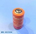 ER17335 ER17335M 3.6V鋰亞電池 2