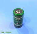 ER26500 3.6V Li-SOCL2 Battery