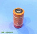 ER26500M 3.6V Li-SoCL2 Battery 1