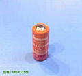 ER14335 ER14335M 3.6V Li-SOCL2 Battery 