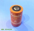 ER34615M 3.6V Li-SoCL2 Battery