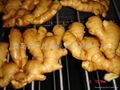 2024 CROPS CHINA FRESH JUMBO GINGER 4