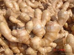 2024 CHINA JUMBO AIR DRIED GINGER