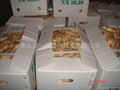 UK MARKET FRESH AIR DRIED GINGER 19