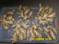 UK MARKET FRESH AIR DRIED GINGER 5