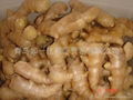 CHINA HIGH QUALITY FRESH JUMBO GINGER 15