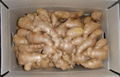  HIGH QUALITY FRESH AIR DRIED GINGER 7