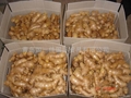 FRESH AIR DRIED GINGER 2