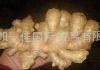 CLEARED AND AIR DRIED GINGER