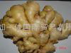 WASHED AND AIR DRIED GINGER 1