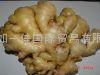 WASHED AND AIR DRIED GINGER