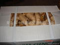 2024 BIG SIZE AIR DRIED GINGER 6