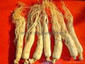 Ginseng Root Extract