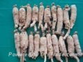 White Ginseng Root (without tail) 3