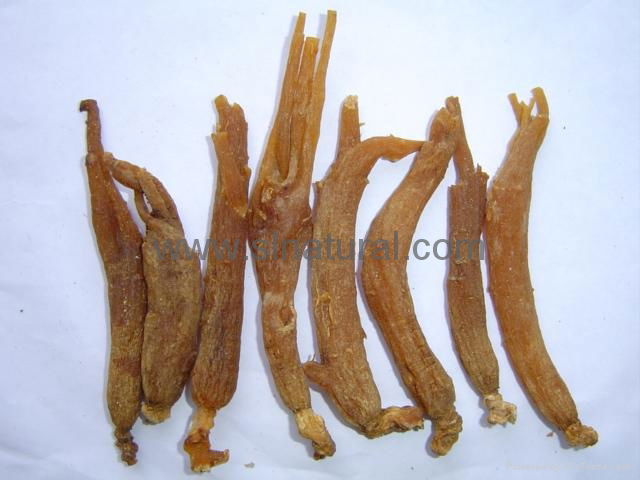 Red Ginseng Roots with or without tails  2