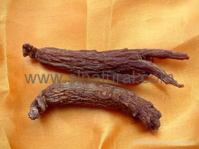 Red Ginseng Roots with or without tails  3