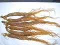 Red Ginseng Roots with or without tails 