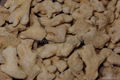 Dried Ginger 5