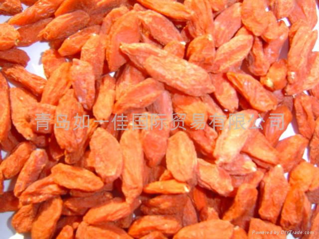 Organic Goji berry 4