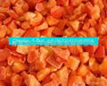 IQF DICED RED PEPPER 4