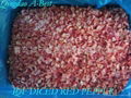 IQF DICED RED PEPPER 5