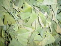 Ginkgo Biloba Leaves P.E.