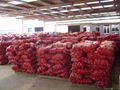 ORGANIC FRESH RED ONIONS 8