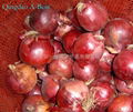 2022 NEW CROPS FRESH RED ONION 15