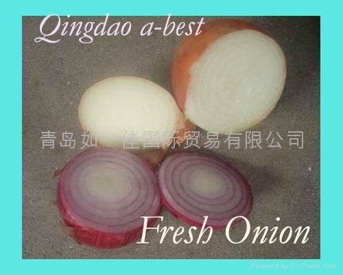 2022 NEW CROPS FRESH YELLOW AND RED ONION 5