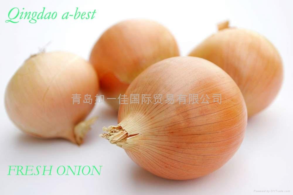 2022 NEW CROPS FRESH YELLOW AND RED ONION 7
