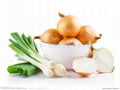 FRESH ONION 10