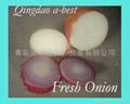 NEW CROPS FRESH RED ONIONS