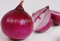 NEW CROPS FRESH RED ONIONS 8