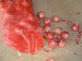 FRESH RED ONION 9