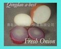 2022 NEW CROPS FRESH RED ONION 4