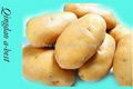 Fresh holland potato 4