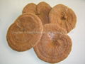 Ganoderma lucidum (reishi) polysaccharide 2