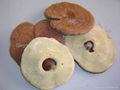 Ganoderma lucidum (reishi) polysaccharide 3