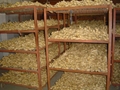 2025 New Chinese fresh ginger 8
