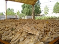 2024 New Chinese fresh ginger 7