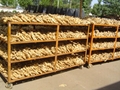 2025 New Chinese fresh ginger 6