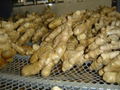 Fresh air dried ginger